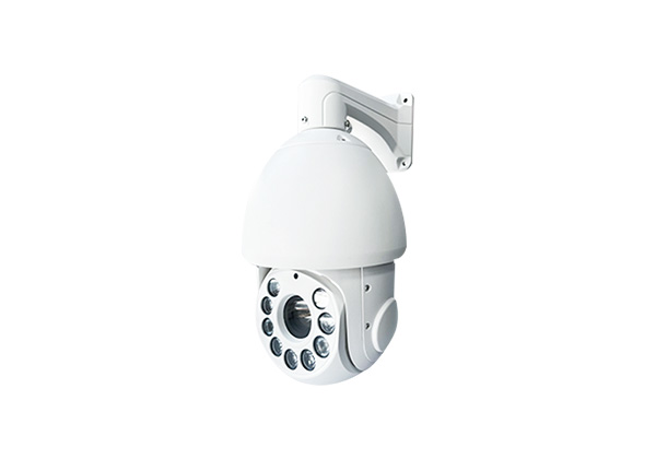 Hemisphere Camera - YG109