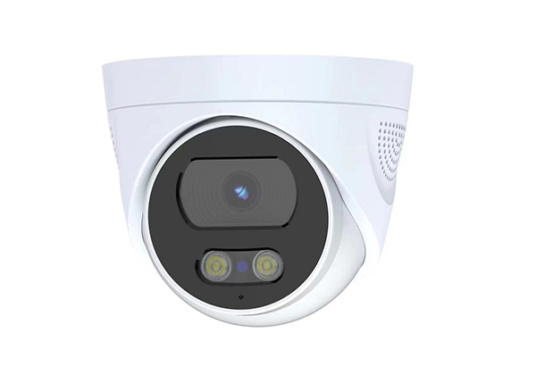 Hemisphere Camera - YG104